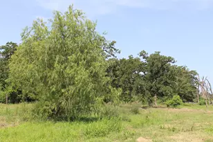 2547 Bob Mathews St, Bedias, TX 77831 - Photo 37