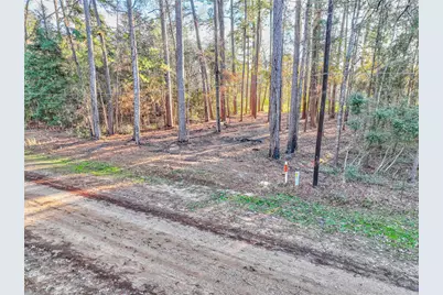 171 Pine Shadow Street, Coldspring, TX 77331 - Photo 3