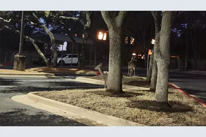 4100 Firstview Drive, Austin, TX 78731 - Photo 19