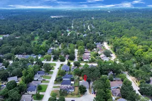 25403 Elm Green St St, Spring, TX 77373 - Photo 29