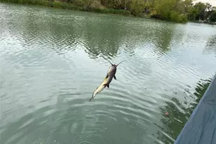 2703 Peninsulas, Missouri City, TX 77459 - Photo 45