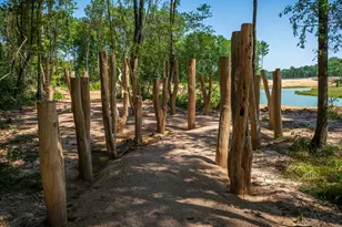 22018 Boca Chita Wy, Porter, TX 77365 - Photo 13