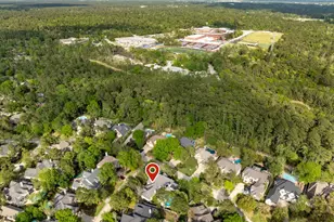 30 Pale Dawn Pl, The Woodlands, TX 77381 - Photo 47