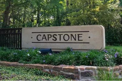 30 Pale Dawn Place, The Woodlands, TX 77381 - Photo 49