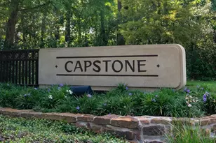 30 Pale Dawn Pl, The Woodlands, TX 77381 - Photo 49