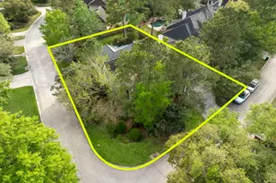 30 Pale Dawn Pl, The Woodlands, TX 77381 - Photo 45