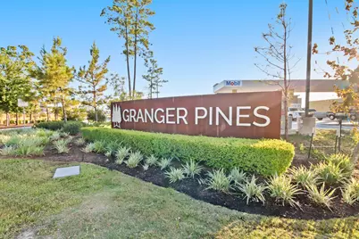 16804 Country Roots Avenue, Conroe, TX 77302 - Photo 29
