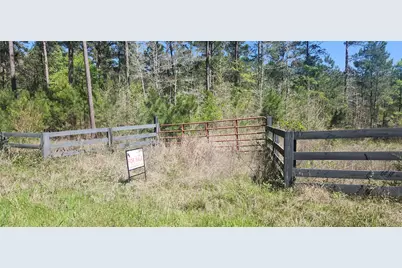 668 Wheeler Road, Livingston, TX 77351 - Photo 3