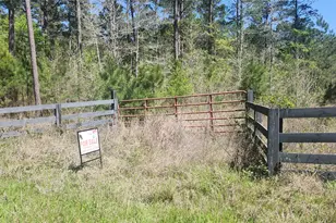 668 Wheeler Rd, Livingston, TX 77351 - Photo 1