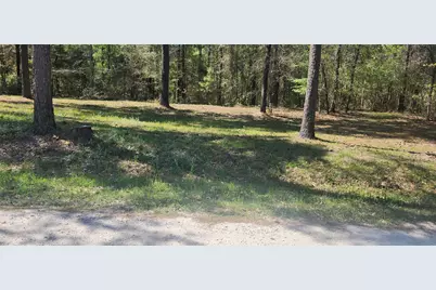 668 Wheeler Road, Livingston, TX 77351 - Photo 5