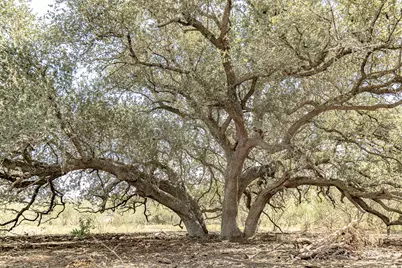 11341 Fm-340, Moulton, TX 77975 - Photo 5