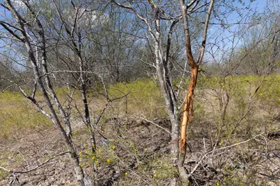 11341 Fm-340, Moulton, TX 77975 - Photo 9