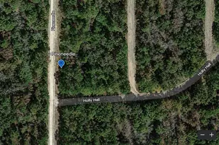 Lot 212 Pineneedle, Livingston, TX 77351 - Photo 1