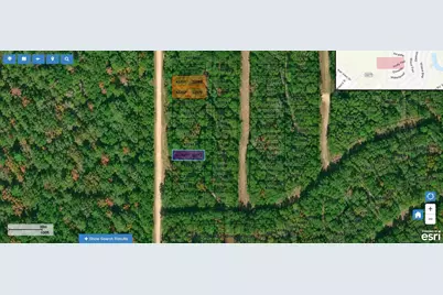 Lot 212 Pineneedle, Livingston, TX 77351 - Photo 3