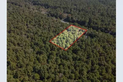 185 Rim Rock Road, Huntsville, TX 77340 - Photo 9