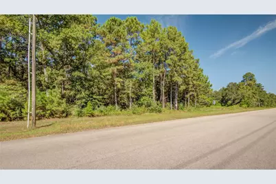 185 Rim Rock Road, Huntsville, TX 77340 - Photo 7