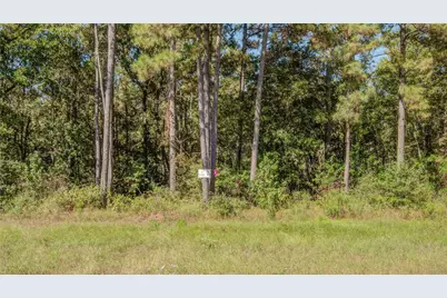 185 Rim Rock Road, Huntsville, TX 77340 - Photo 11