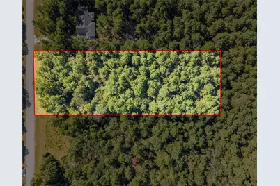 185 Rim Rock Road, Huntsville, TX 77340 - Photo 9