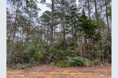 T-4 County Road 1019, Newton, TX 75966 - Photo 7