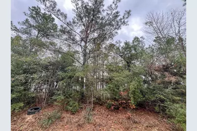 T-4 County Road 1019, Newton, TX 75966 - Photo 9