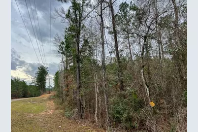 T-4 County Road 1019, Newton, TX 75966 - Photo 11