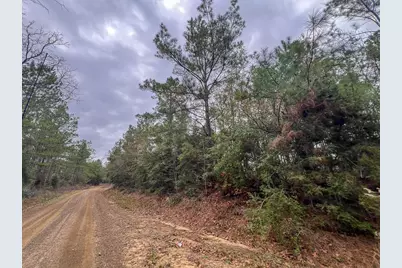 T-4 County Road 1019, Newton, TX 75966 - Photo 3