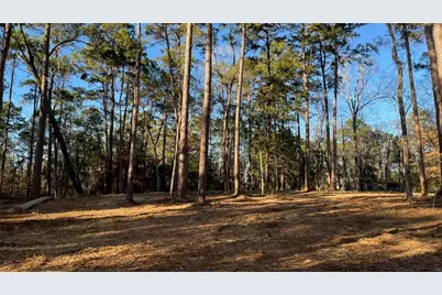 0 Monroe Drive, Livingston, TX 77351 - Photo 3