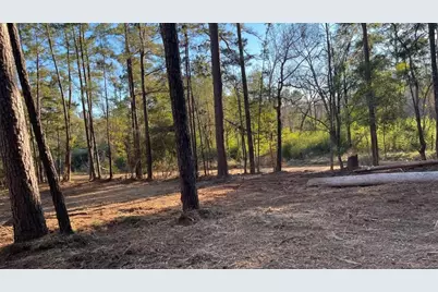 0 Monroe Drive, Livingston, TX 77351 - Photo 1