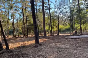 0 Monroe Dr, Livingston, TX 77351 - Photo 1