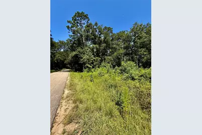 Tbd Lot 4 Rolling Hills Drive, Porter, TX 77365 - Photo 3