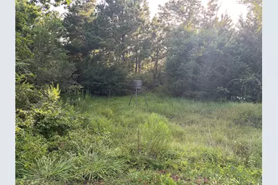 Tbd Rice Road, Texas City, TX 77539 - Photo 5