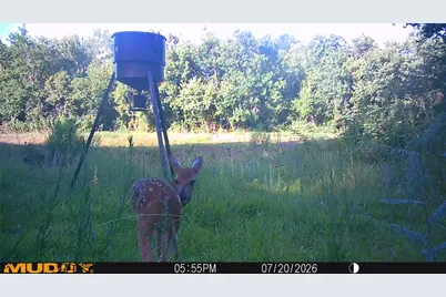 Tbd Rice Road, Texas City, TX 77539 - Photo 15