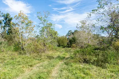 Tbd Highway 36      75 Acres, Jones Creek, TX 77541 - Photo 3