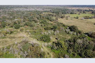 Tbd Highway 36      75 Acres, Jones Creek, TX 77541 - Photo 23