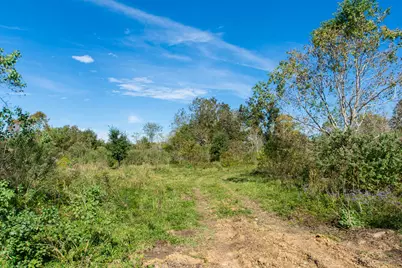 Tbd Highway 36      75 Acres, Jones Creek, TX 77541 - Photo 13