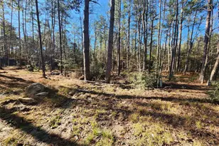 265 Sweetgum Dr, Brookeland, TX 75931 - Photo 3