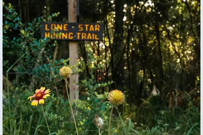 14-37-7 Dipping Vat Road, New Waverly, TX 77358 - Photo 21