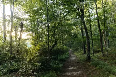 14-37-7 Dipping Vat Road, New Waverly, TX 77358 - Photo 19