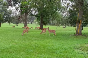 000 Brahman, Angleton, TX 77515 - Photo 1