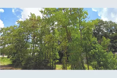 0 Old Highway 75, Willis, TX 77378 - Photo 9