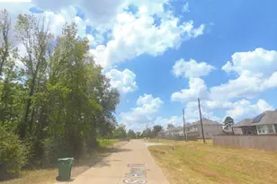 0 Old Hwy 75, Willis, TX 77378 - Photo 3