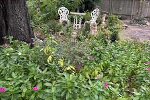 3603 Shipman Ln, Spring, TX 77388 - Photo 39