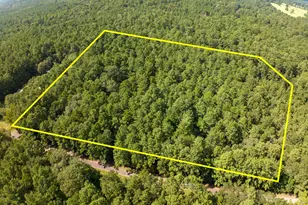 Tbd Cotten Ln, Zavalla, TX 75980 - Photo 1