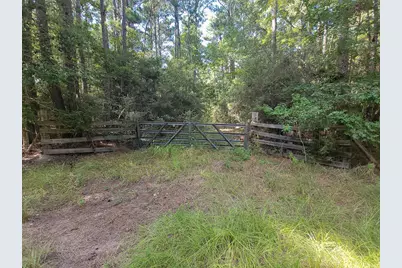 Tbd Cotten Lane, Zavalla, TX 75980 - Photo 3