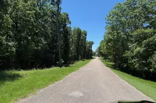 141 W Lakeside Dr, Huntsville, TX 77320 - Photo 3