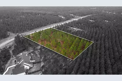 12677 Oak Barrel Road, Willis, TX 77378 - Photo 7