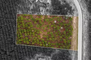 12677 Oak Barrel Rd, Willis, TX 77378 - Photo 11