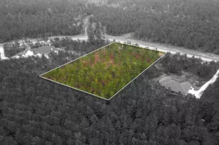 12677 Oak Barrel Rd, Willis, TX 77378 - Photo 9