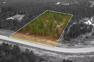 12677 Oak Barrel Rd, Willis, TX 77378 - Photo 5