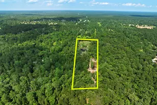 17131 Carrol Ln, Willis, TX 77378 - Photo 47